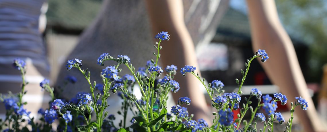 Spring cleaning and yard work safety